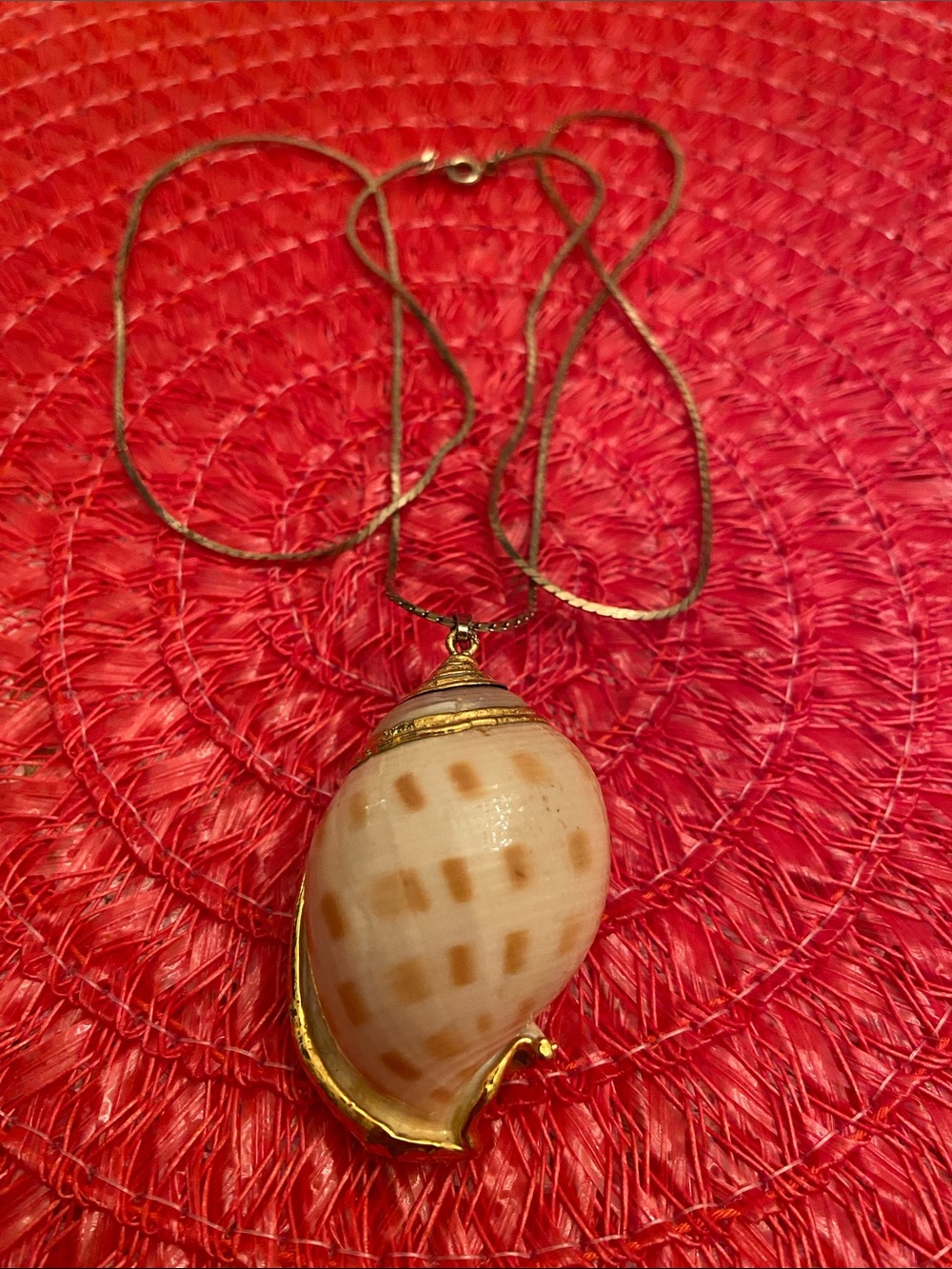 Gold-Tone Seashell Pendant Necklace in Cream and Brown